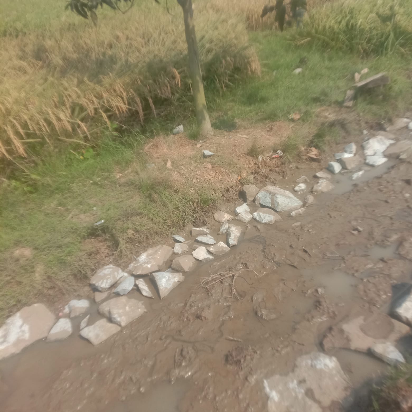 Proyek p3A Makmur Tani diduga dikerjakan asal jadi menjadi korupsi berjamaah